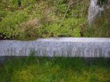 image of grave number 828463